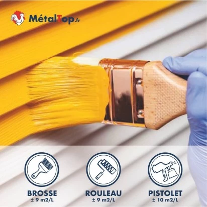 PEINTURE VOLETS BOIS