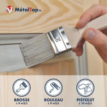 PEINTURE PORTE INTERIEURE