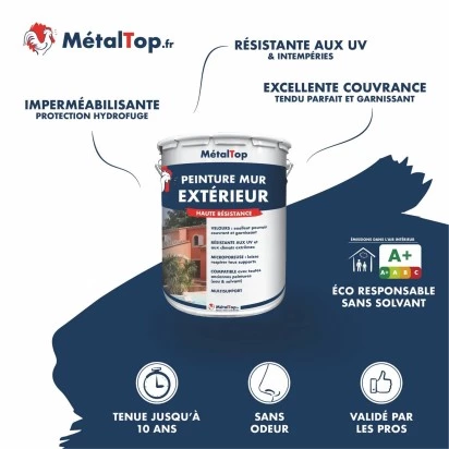 PEINTURE MUR EXTERIEUR