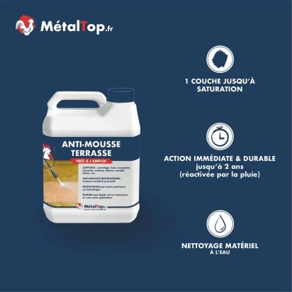 ANTI MOUSSE TERRASSE