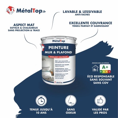 PEINTURE MUR ET PLAFOND