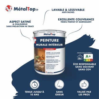 PEINTURE MURALE INTERIEUR