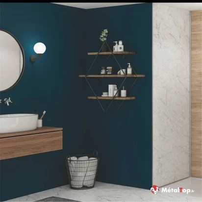 PEINTURE MURALE INTERIEUR