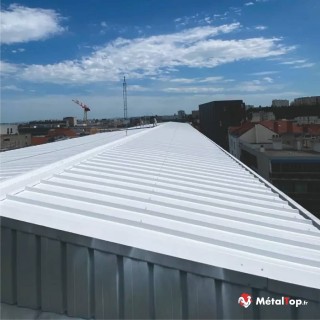 Peindre une tôle fibro