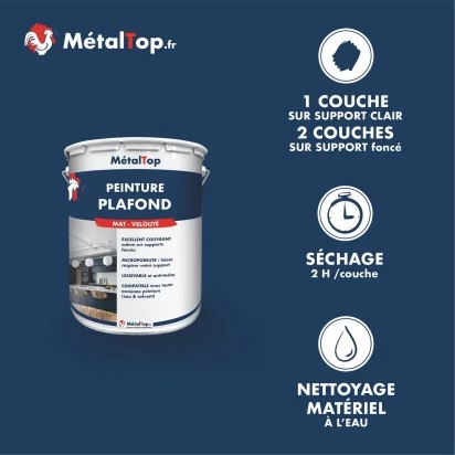 PEINTURE PLAFOND