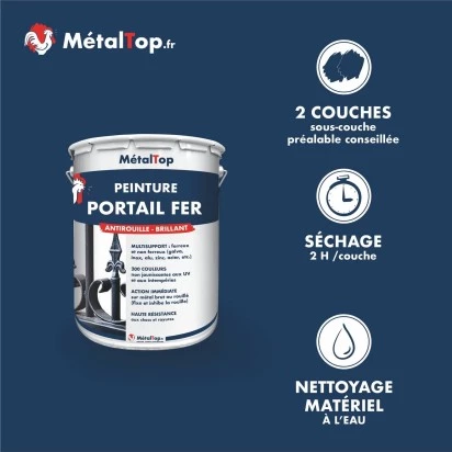PEINTURE PORTAIL FER