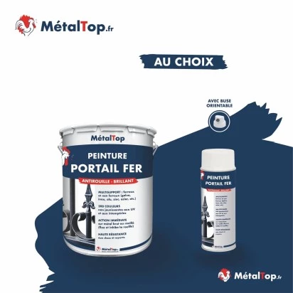 PEINTURE PORTAIL FER