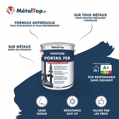 PEINTURE PORTAIL FER