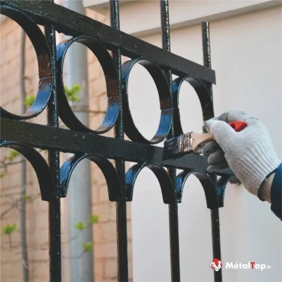 PEINTURE PORTAIL FER