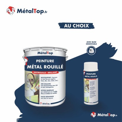 PEINTURE METAL ROUILLE
