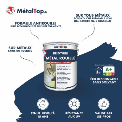 PEINTURE METAL ROUILLE