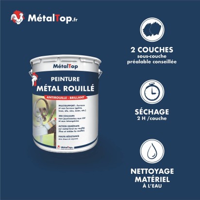 PEINTURE METAL ROUILLE