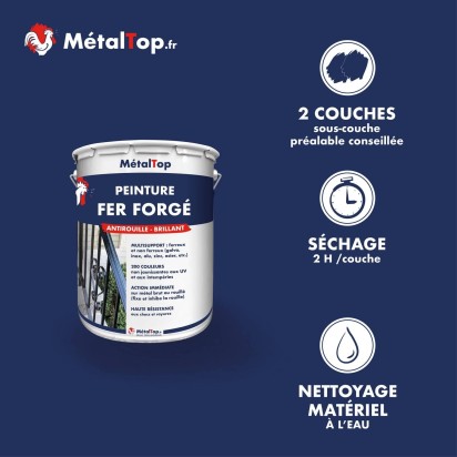 PEINTURE FER FORGE