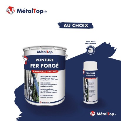 PEINTURE FER FORGE