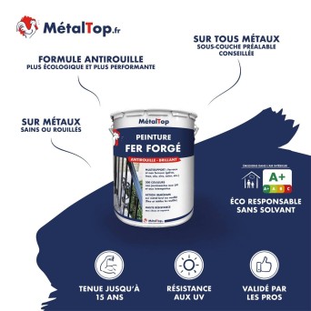 PEINTURE FER FORGE