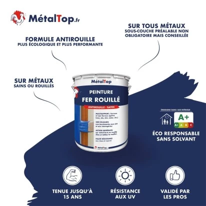 PEINTURE FER ROUILLE