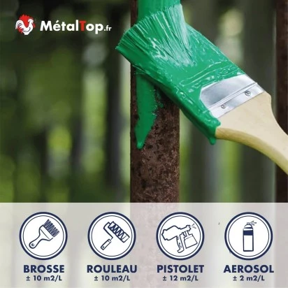 PEINTURE FER ROUILLE