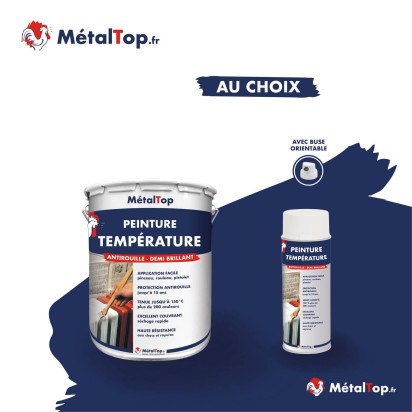 PEINTURE TEMPERATURE