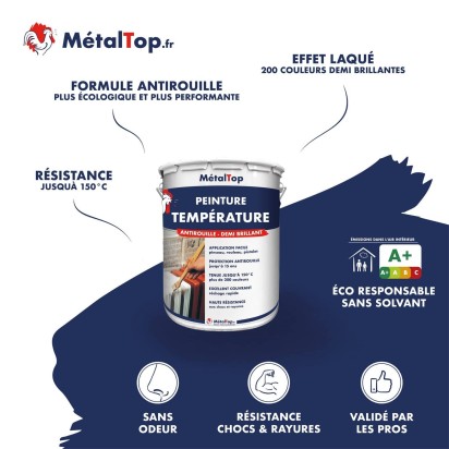 PEINTURE TEMPERATURE