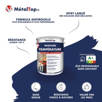 PEINTURE TEMPERATURE