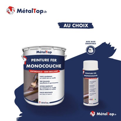 PEINTURE FER MONOCOUCHE