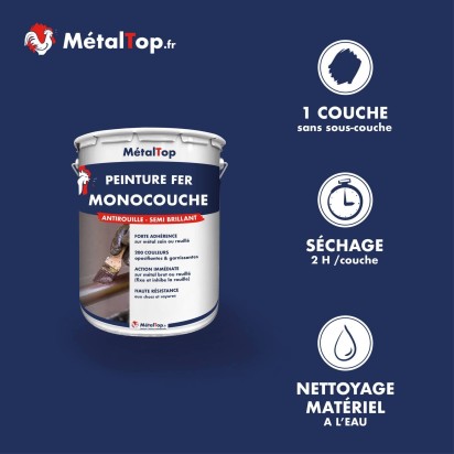 PEINTURE FER MONOCOUCHE