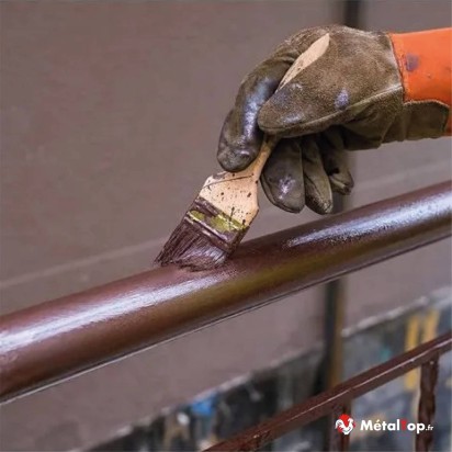 PEINTURE FER MONOCOUCHE