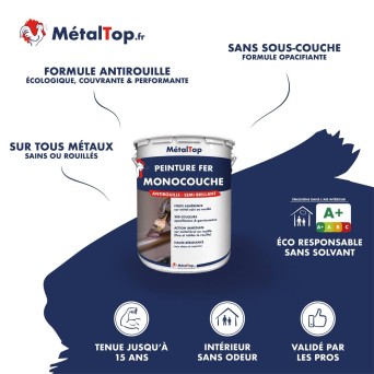 PEINTURE FER MONOCOUCHE