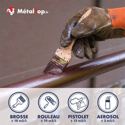 PEINTURE FER MONOCOUCHE