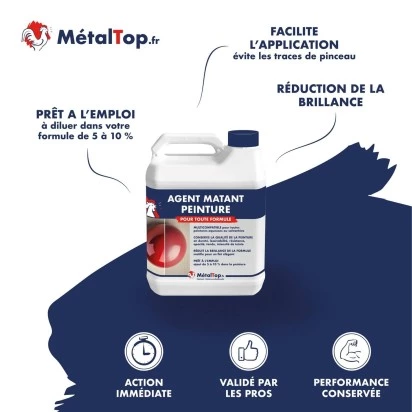 AGENT MATANT PEINTURE