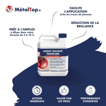 AGENT MATANT PEINTURE