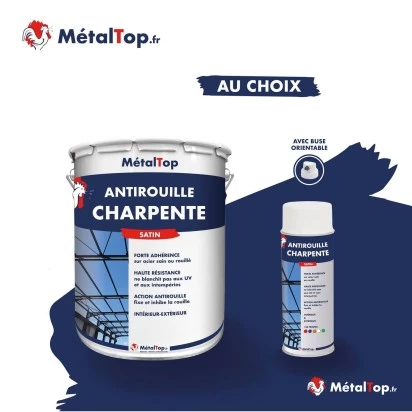 ANTIROUILLE CHARPENTE