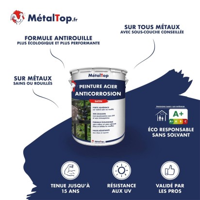 PEINTURE ACIER ANTICORROSION
