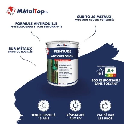 PEINTURE ANTICORROSION