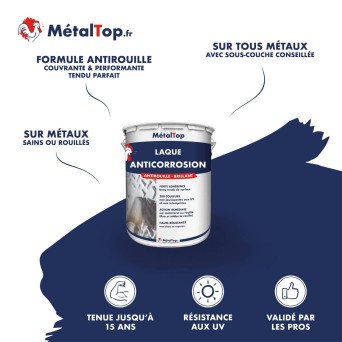LAQUE ANTICORROSION