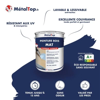 PEINTURE BOIS MAT
