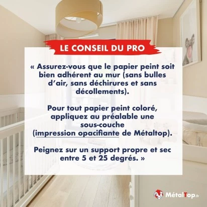 PEINTURE PAPIER PEINT