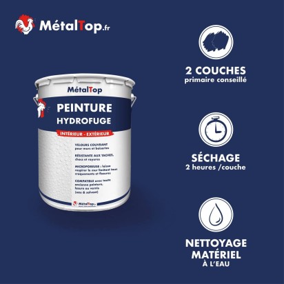 PEINTURE HYDROFUGE