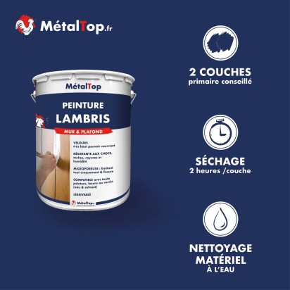 PEINTURE LAMBRIS