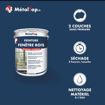 PEINTURE FENETRE BOIS