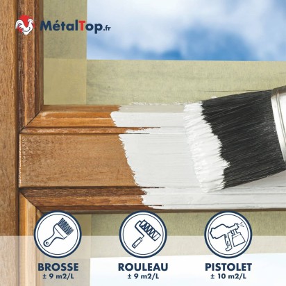 PEINTURE FENETRE BOIS