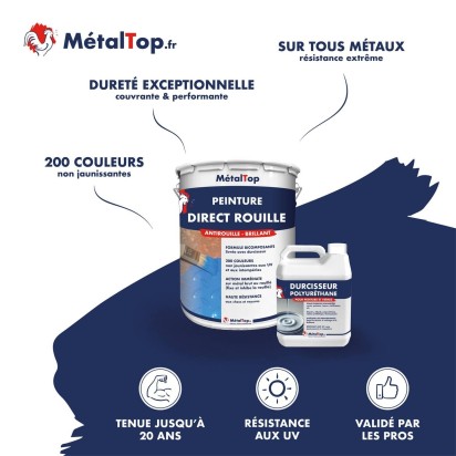 PEINTURE DIRECT ROUILLE
