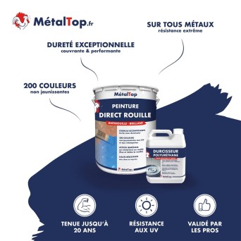 PEINTURE DIRECT ROUILLE
