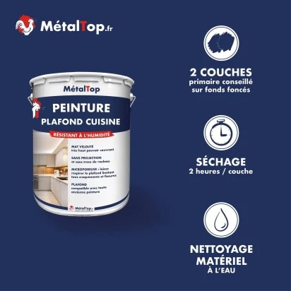 PEINTURE PLAFOND CUISINE