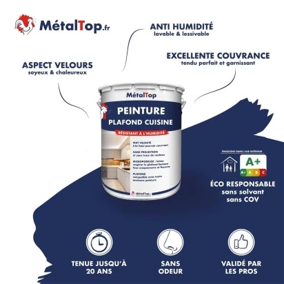 PEINTURE PLAFOND CUISINE