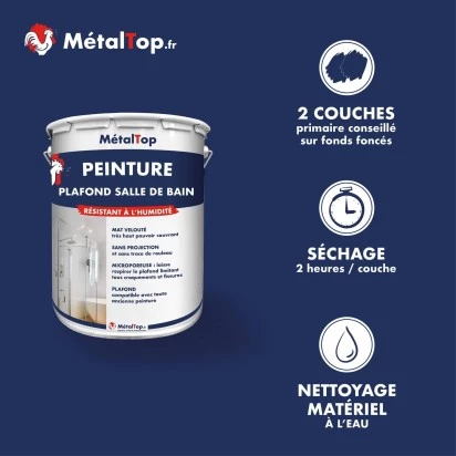 PEINTURE PLAFOND SALLE DE BAIN