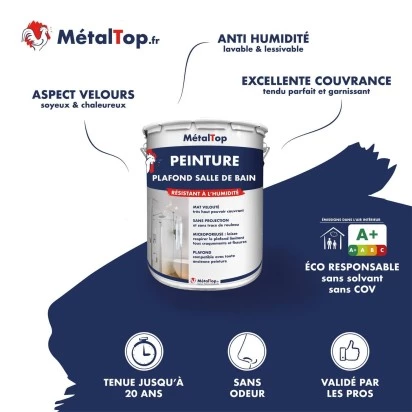 PEINTURE PLAFOND SALLE DE BAIN