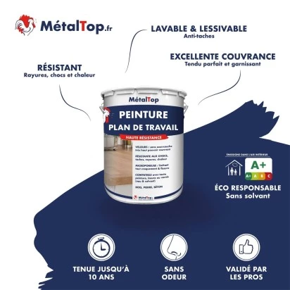 PEINTURE PLAN DE TRAVAIL