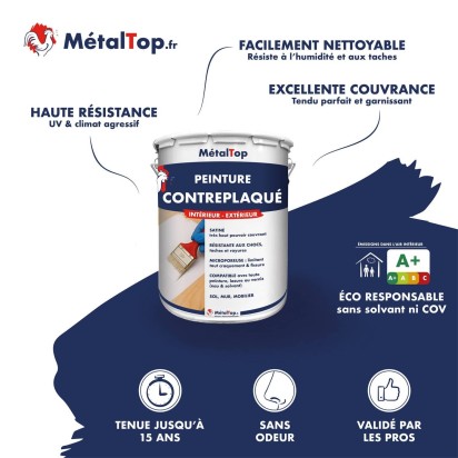 PEINTURE CONTREPLAQUE