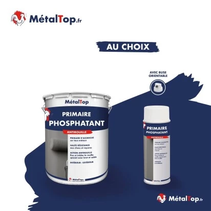 PRIMAIRE PHOSPHATANT